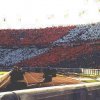 -SK 72 Supporters- 42